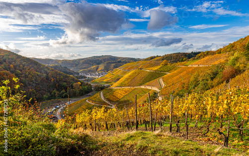 Leuchtende Weinberge bei Dernau im Ahrtal im Herbst 2023; Deutschland