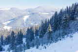 winter mountain landscape in Carpathian mountains
