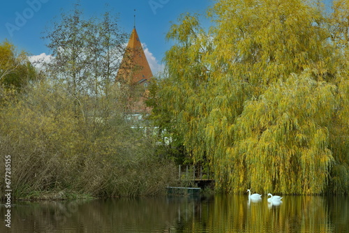 An der Warnow in Schwan