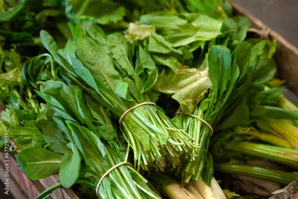 Obraz premium Bunch of spinach