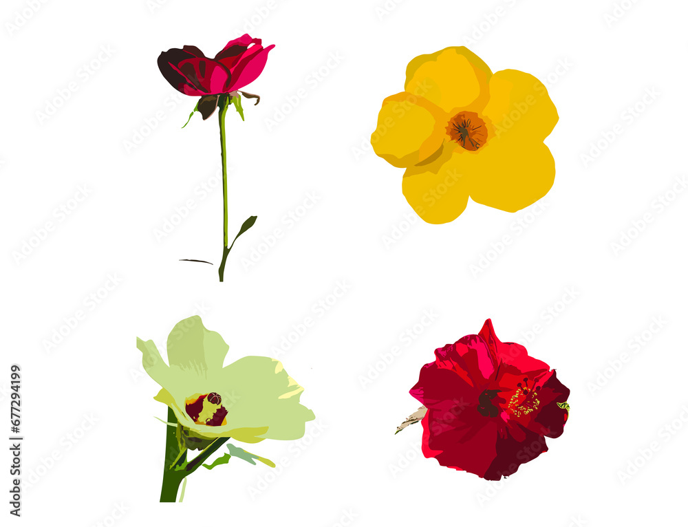 set of flowers isolated on white