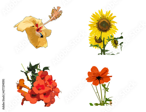 set of flowers isolated