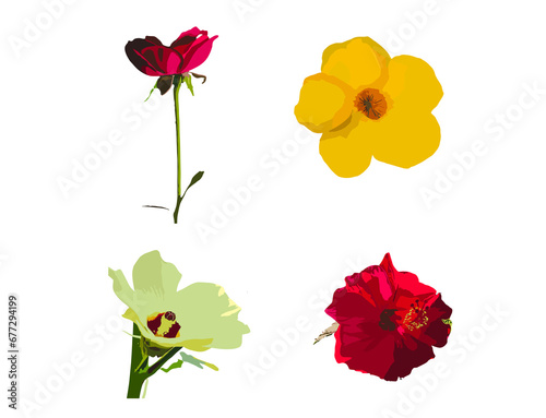 set of flowers isolated on white