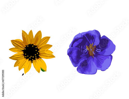 yellow flower isolated on white