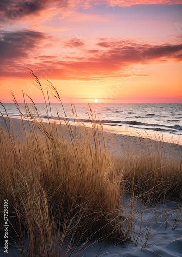 grassy area beach sunset background dune springtime morning plants environment duchy flowing rhythms full photo