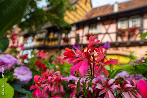 the colorful half timbered building in the streets of the beautiful Alsace village Riquewihr