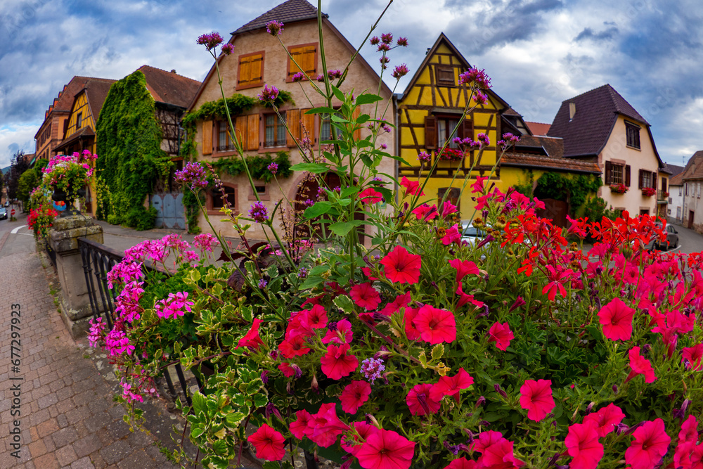 The colors of Alsace during Springtime - French fairytale village with spring flowers