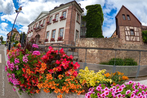 The colors of Alsace during Springtime - French fairytale village with spring flowers