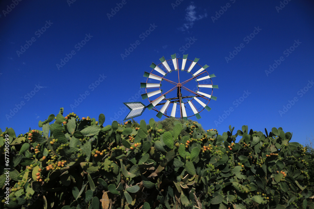 Fototapeta premium windmill in mallorca mediterranean island