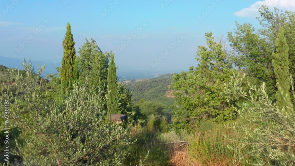 Tuscany landscape. Green nature in Italian sunny summer day. Aerial reveal shot Tuscany landscape. Green nature in Italian sunny summer day. Aerial reveal shot