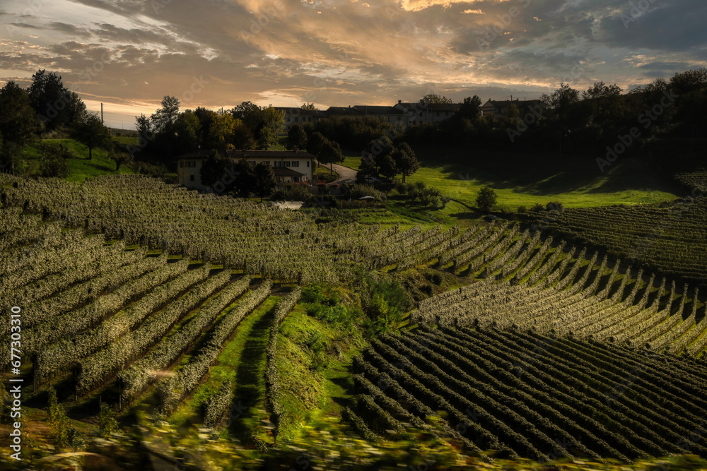 landscapes of the Piedmontese Langhe at sunset with the colors of autumn near Alba in the period of the end of the 2023 harvest