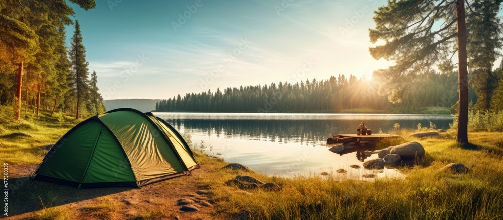 Camping under pine trees near a sunny lake in the morning Copy space image Place for adding text or design - obrazy, fototapety, plakaty 