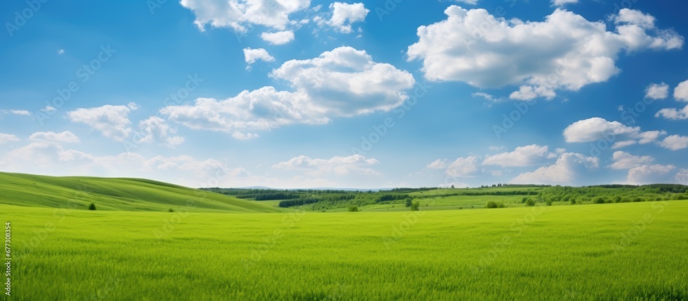 Beautiful countryside in Ukraine Europe Summertime nature photo of lush green pastures and clear blue sky Explore Earth s beauty Copy space image Place for adding text or design - obrazy, fototapety, plakaty 
