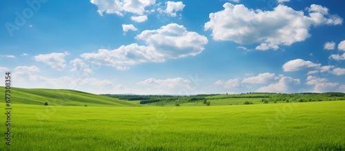 Beautiful countryside in Ukraine Europe Summertime nature photo of lush green pastures and clear blue sky Explore Earth s beauty Copy space image Place for adding text or design © Ilgun