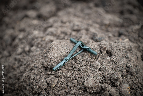 Obraz na płótnie Fibula of the Velbar culture of the 1-3 century AD w salonie