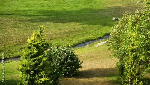 Quick forest stream runs through green meadow in Bulgaria.