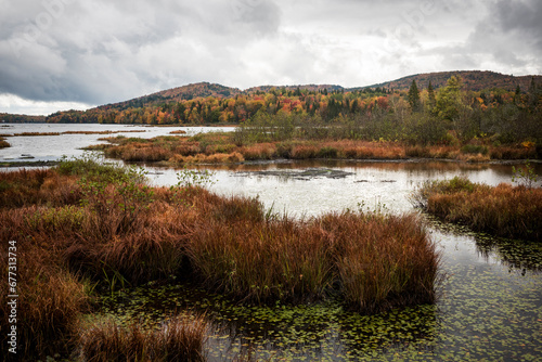 Fototapeta Naklejka Na Ścianę i Meble -  The north swamp park in Quebec at fall