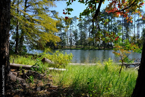 North Toledo Bend State Park in Zwolle Louisiana