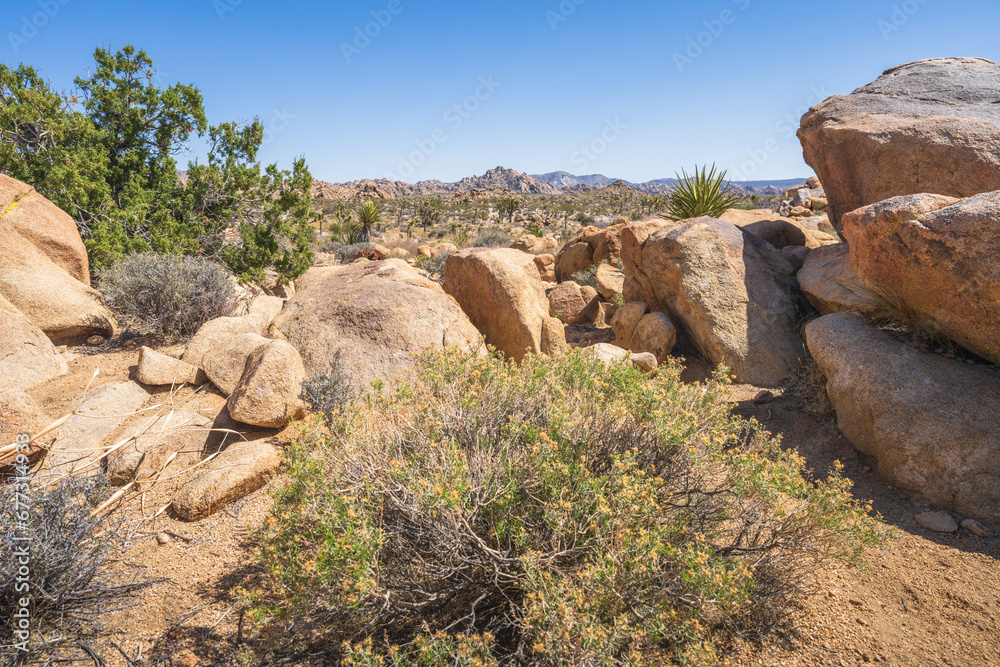 hiking the lost horse mine loop trail in joshua tree national park, california, usa hiking the lost horse mine loop trail in joshua tree national park, california, usa