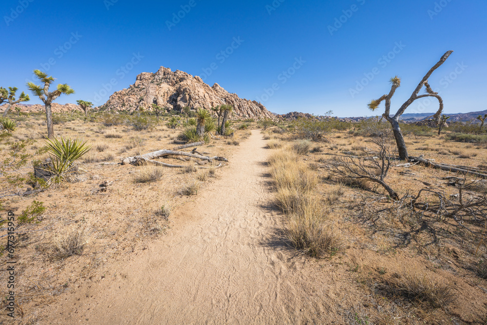 hiking the lost horse mine loop trail in joshua tree national park, california, usa hiking the lost horse mine loop trail in joshua tree national park, california, usa