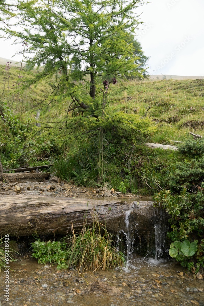 Beautiful view of a water spring flowing from the stones Beautiful view of a water spring flowing from the stones