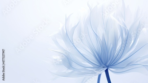  a close up of a blue flower on a white background with a blurry image of the center of the flower.