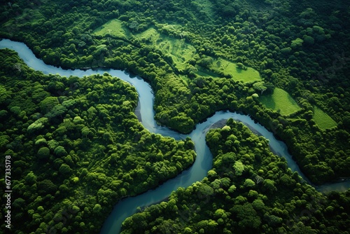 Aerial view of a lush jungle with a winding river