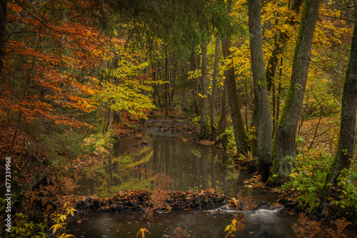 Fototapeta Naklejka Na Ścianę i Meble -  Doubrava river with color rock with moss in autumn day near Bilek village