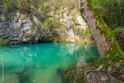 view of the Gorgazzo source pool in Polcenigo, Italy