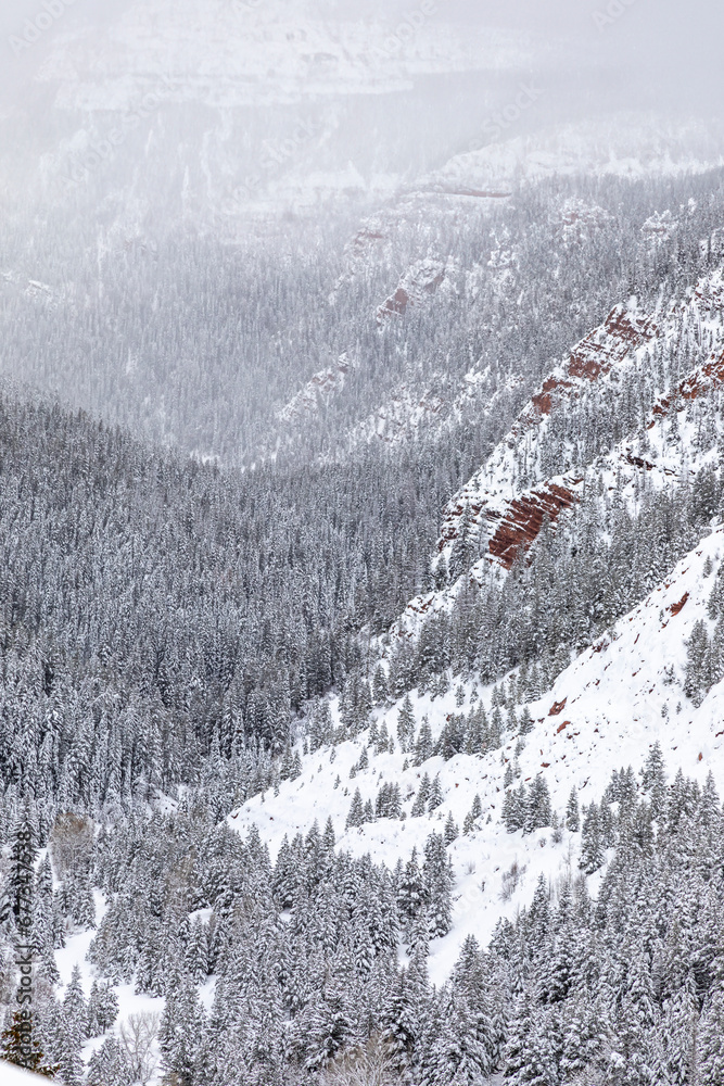 Snowy winter scene in mountains near Basalt and Aspen Colorado