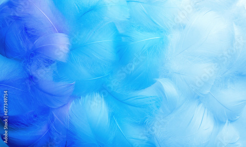 Blue feather. Abstract textured background made of bird plumage. Blue fluffy bird feathers. Texture of delicate feathers © Vera