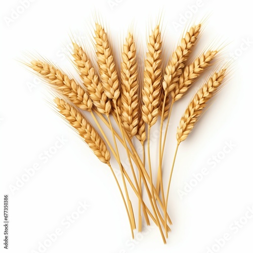 Wheat Ears Isolated on White Background. Generative ai