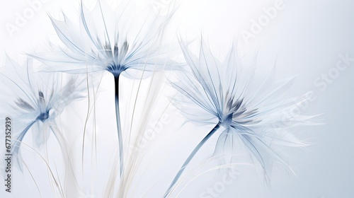  a close up of a bunch of flowers on a white background with a blurry image of blue flowers in the background.