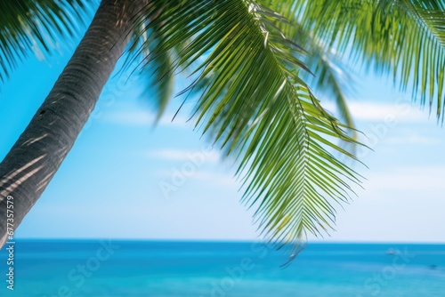 Beautiful palm tree leaves and blue sea. Minimalism. Summer tropical vacation concept.