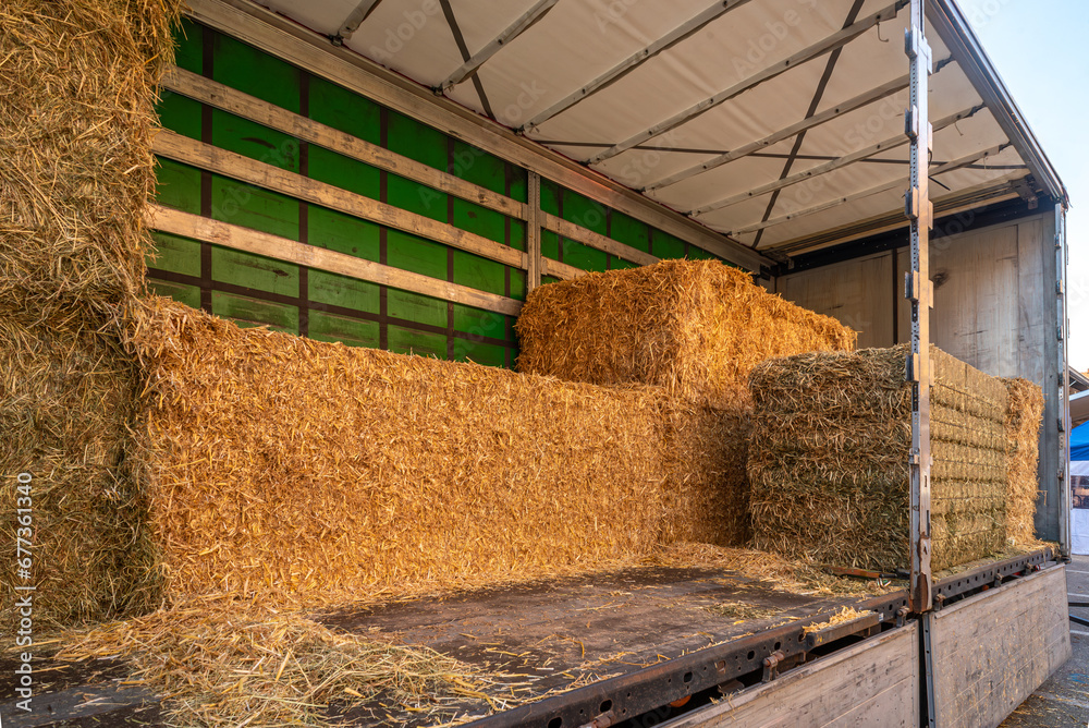 Large bales of straw and hay loaded on truck trailer - obrazy, fototapety, plakaty 