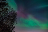 Purple and green aurora borealis over the dark forests of Finland