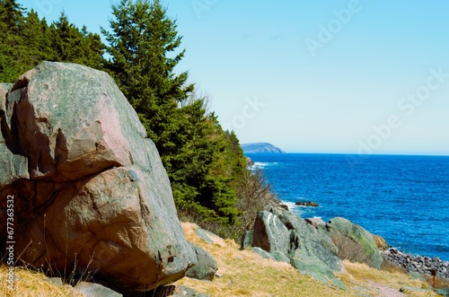rocky forest shore of the Atlantic Ocean in Canada