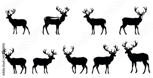 A deer with horns  a minimalist drawing  a vector set on a transparent background for a stencil