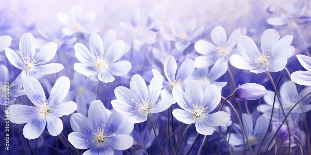 Fototapeta Enchanting Spring Blossoms  Whimsical Wide Capture, Generative AI