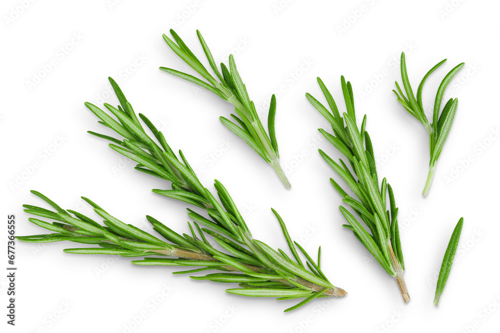 Fototapeta premium Rosemary twig and leaves isolated on white background. Top view. Flat lay