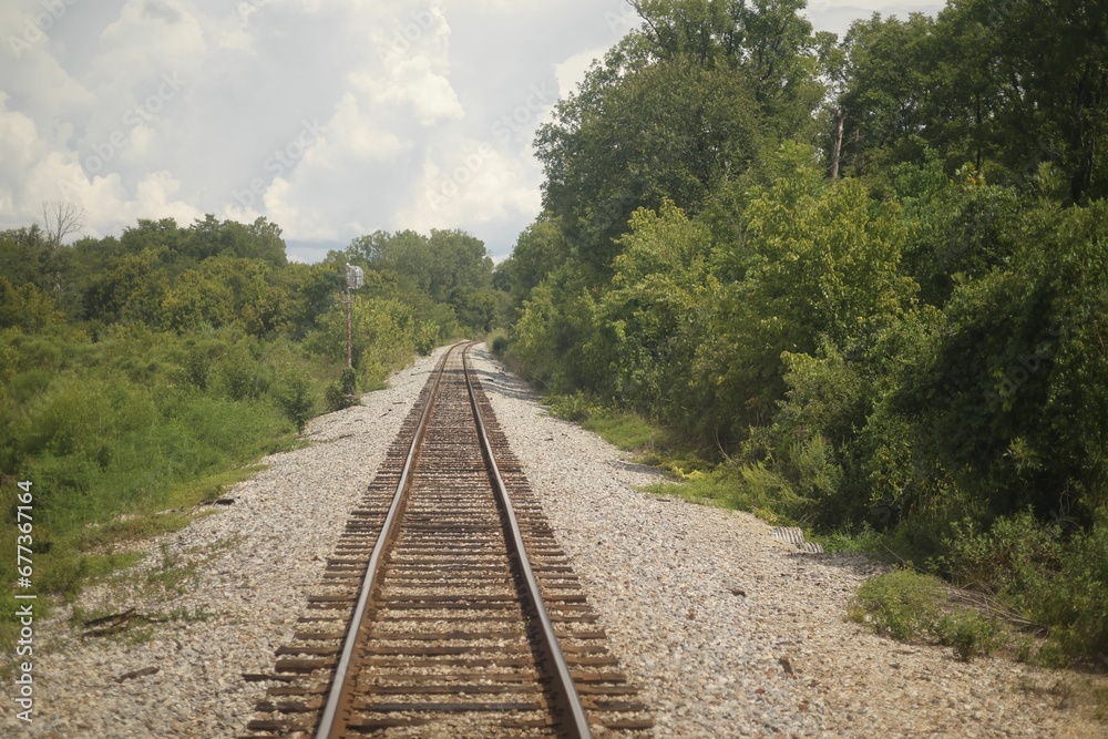 Fototapeta premium Shot of train rails lied through the forest and foliage