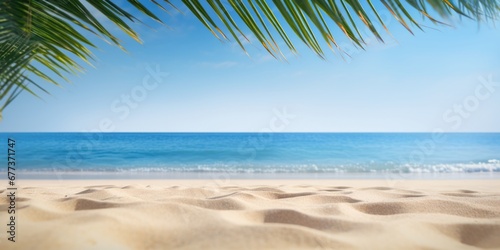 Beautiful palm tree leaves and blue sea. Minimalism. Summer tropical vacation concept.