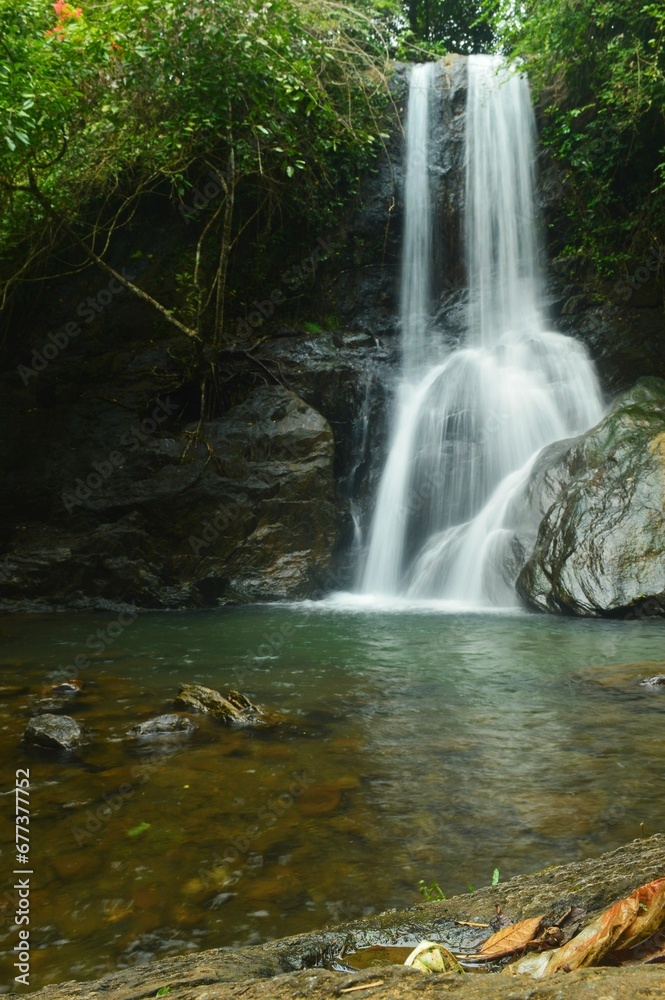 Vertical shot of a waterfall in a forest during the day Vertical shot of a waterfall in a forest during the day