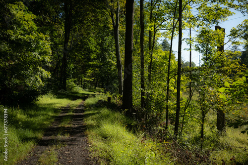 Catskills Trail