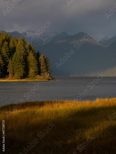 Vertical shot of the Pitt lake with its mountainous shore covered with fir trees at the sunset light