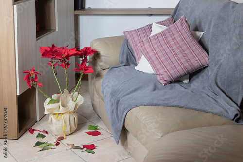 Wilting red poinsettia with falling leaves on tile floor, indicating common issues in plant care during the festive season.Flower care concept.