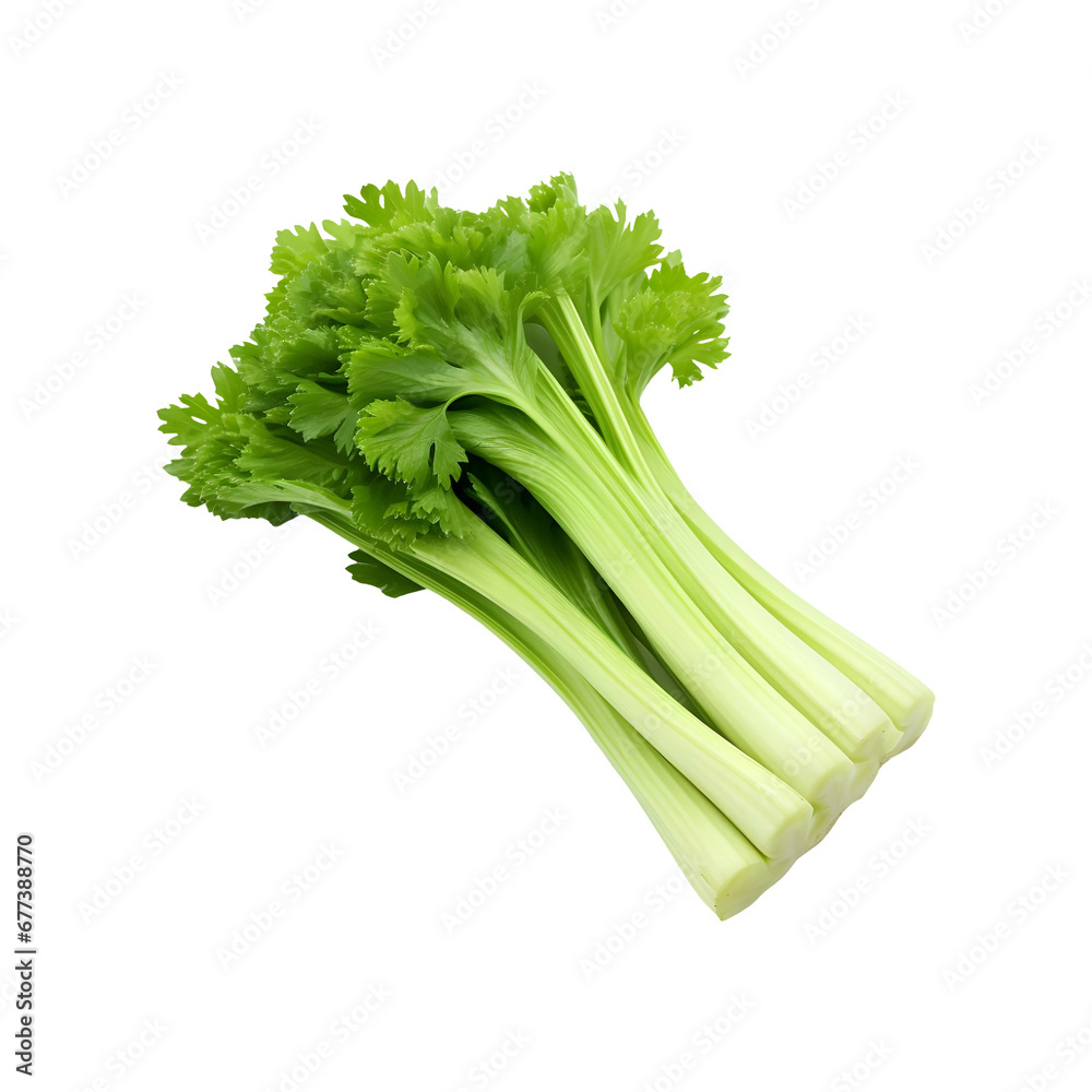 Fresh celery isolated on transparent and white background Fresh celery isolated on transparent and white background