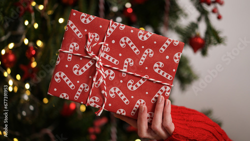 Female hands in red sweater hold Christmas New Year gift box on background of Christmas tree.Giving gifts for holidays.Christmas holidays celebration concept,gifts for family,friends.Winter banner