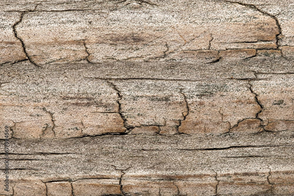 Wood background with worn weathered texture. Wood background with worn weathered texture.