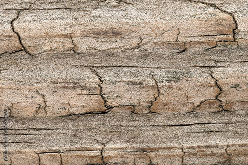 Wood background with worn weathered texture.